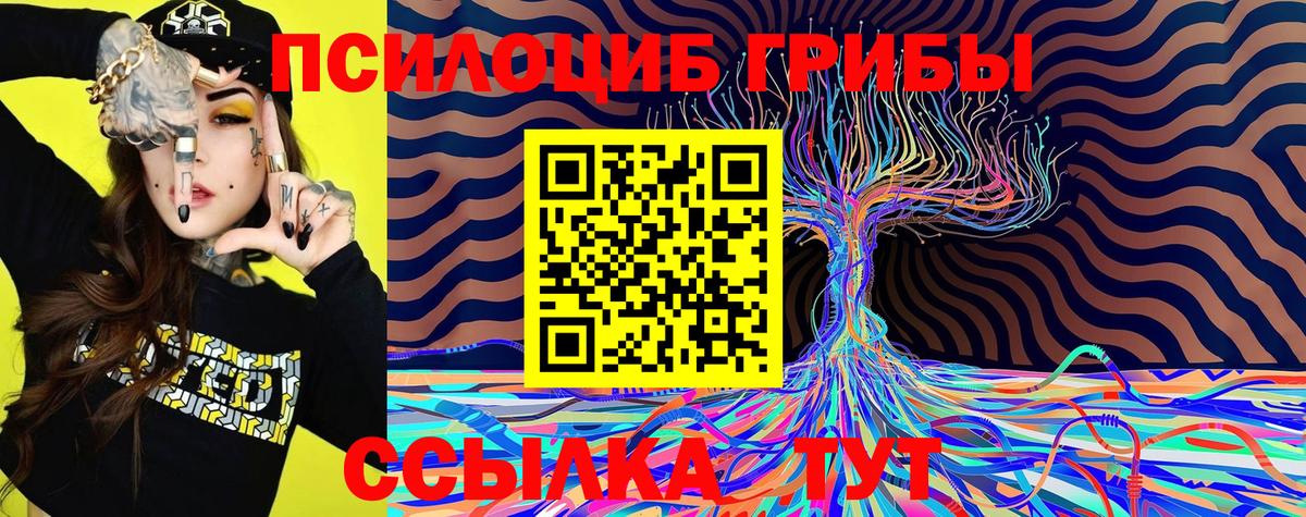 Галлюциногенные грибы GOLDEN TEACHER Тверь