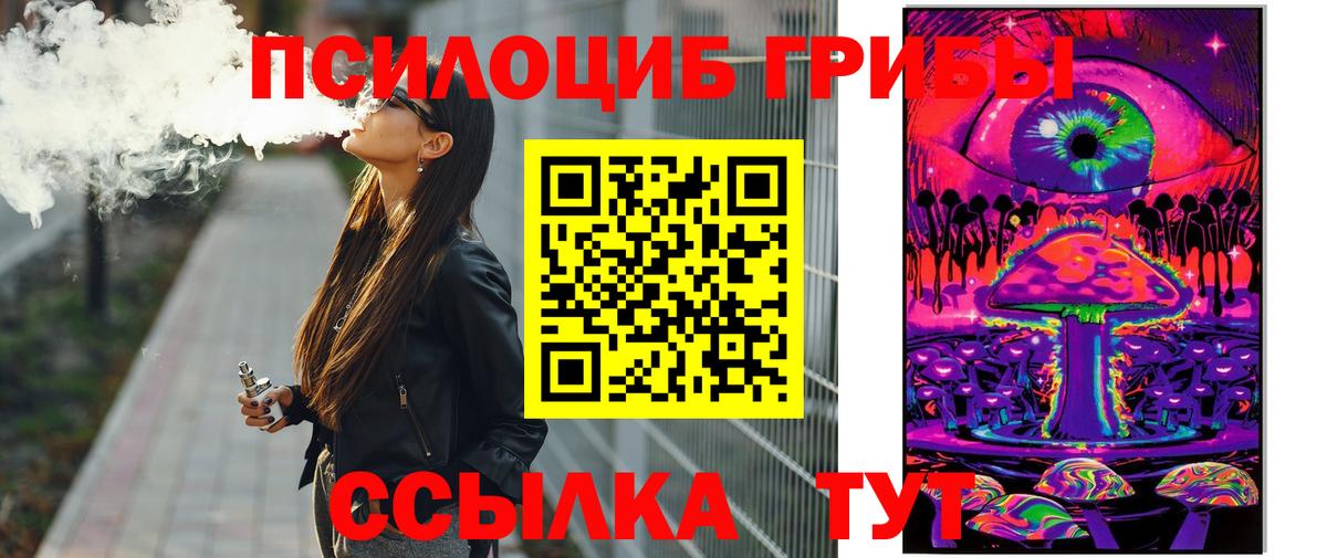 Тверь  Псилоцибиновые грибы GOLDEN TEACHER  Вход с VPN  Галлюциногенные грибы MAGIC MUSHROOMS 